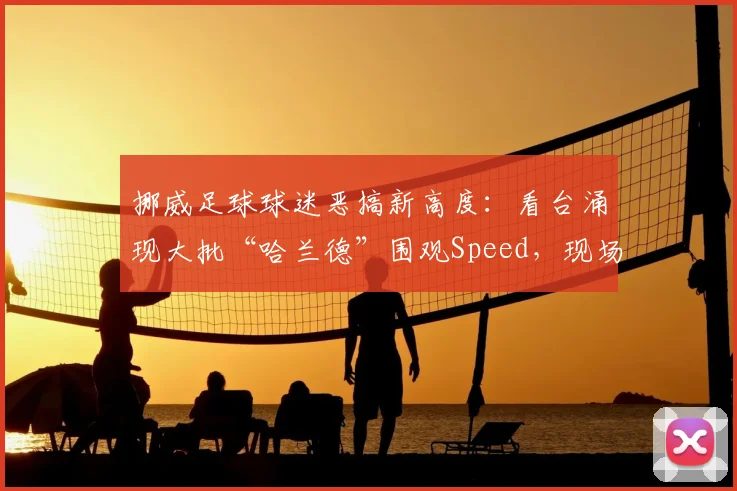 挪威足球球迷恶搞新高度:看台涌现大批“哈兰德”围观Speed,现场魔性抽象氛围拉满