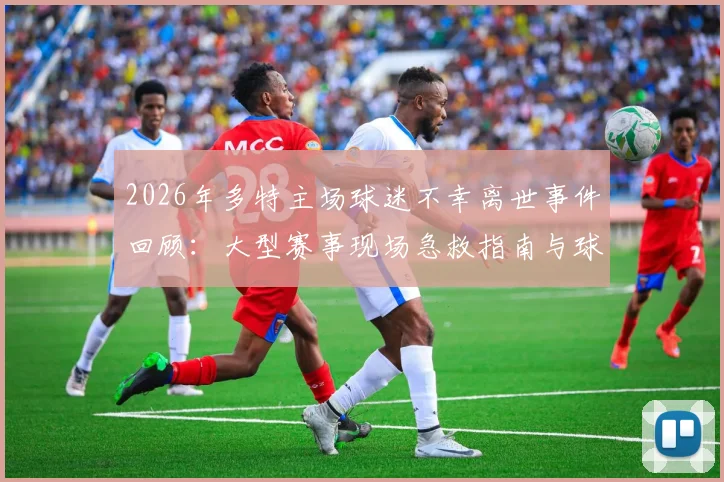 2026年多特主场球迷不幸离世事件回顾:大型赛事现场急救指南与球迷观赛安全须知