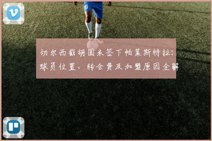 切尔西截胡国米签下帕莱斯特拉:球员位置、转会费及加盟原因全解析,24小时内官宣